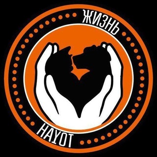 Telegram profile photo for Группа помощи для собачек приюта Хаёт