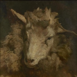 Telegram profile photo for Beasheep7News 🌻