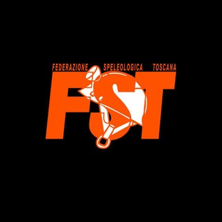 Telegram profile photo for FST 🦇🦇🦇