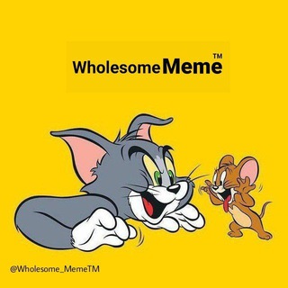Telegram profile photo for Wholesome Memes ™