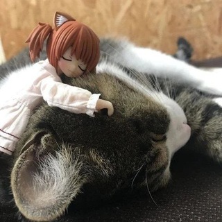 Telegram profile photo for продаже персаф >.<