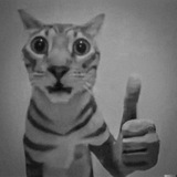 Telegram profile photo for archive ALY