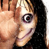 Telegram profile photo for Momo