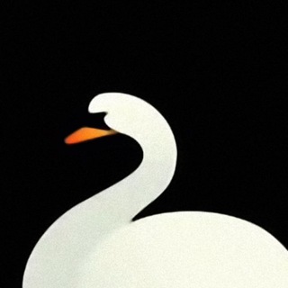 Telegram profile photo for Swan Finance🔸