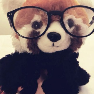 Telegram profile photo for сеня чво прайс.