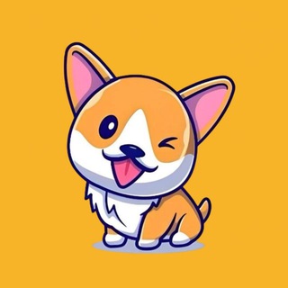 Telegram group profile photo for Minidoge Global CTO