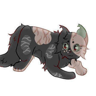 Telegram profile photo for (•~°∆𝑆𝑡𝑢𝑑𝑖𝑜 𝐶ℎ𝑒𝑟𝑛𝑖𝑙𝑙𝑎 𝑀𝑜𝑛𝑠𝑡𝑒𝑟 ∆•~°)