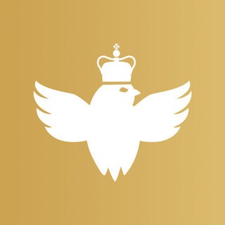 Telegram profile photo for d3.ru