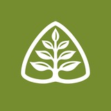 Telegram profile photo for Ministère Ligonier