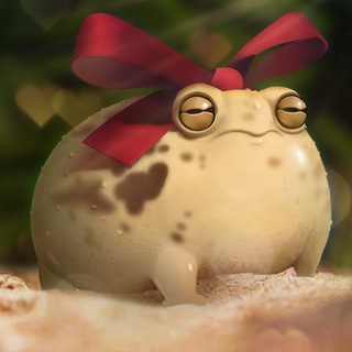 Telegram profile photo for Day of the Toad