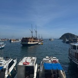Telegram profile photo for 东南亚狗推-海外素材 精聊 套图