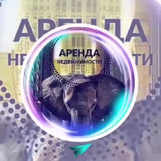 Telegram profile photo for Аренда Киев квартир ⚜️ Оренда Київ | Нерухомість