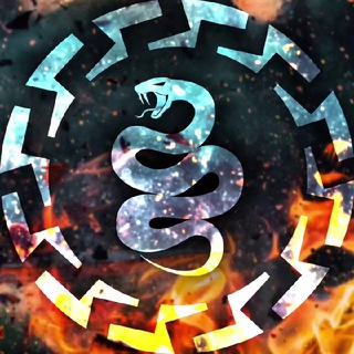 Telegram profile photo for The Modern Radical / RO