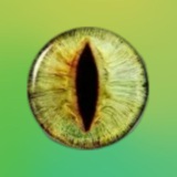 Telegram profile photo for .
