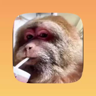 Telegram profile photo for Next stop - Offer