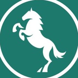 Telegram profile photo for Сейчас в Томске