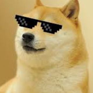 Telegram profile photo for Doge Trader 📈