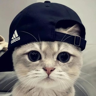 Telegram profile photo for ๐๐๐ใ๐๐๐๐๐