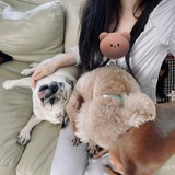 Telegram profile photo for Loving Zhao Lusi