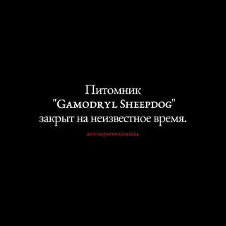 Telegram profile photo for Gamodryl Sheepdog | Гамодрилская Овчарка