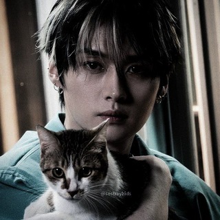 Telegram profile photo for закрыт cattiish``