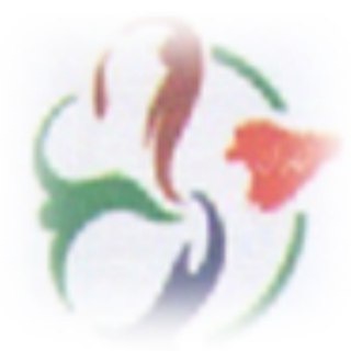 Telegram profile photo for fitnessTehranاطلاع رسانی و معرفی رشته ها و دوره های آموزشی