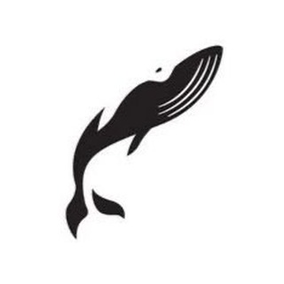 Telegram profile photo for (Анти)китовый🐳