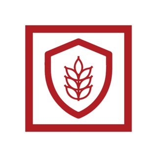 Telegram profile photo for Зерно: захист PRO
