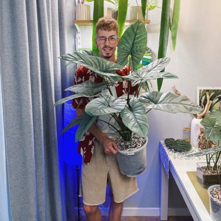 Telegram profile photo for Алексей и его растения