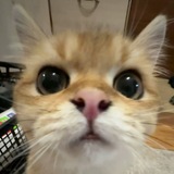 Telegram profile photo for H4VNER |Блог |Крипта |Арбитраж