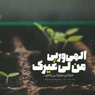Telegram profile photo for كيش مهر