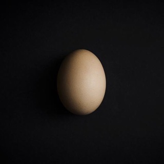 Telegram profile photo for 雞蛋議院 House of eggs