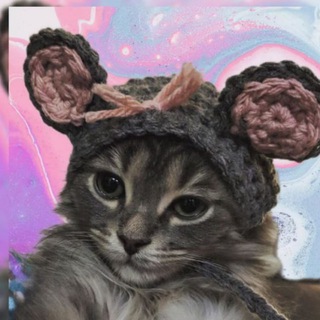 Telegram profile photo for Террариум Мемович