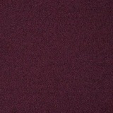 Telegram profile photo for transfer-chapt. ✷ solace