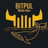 Telegram profile photo for 🚨bitpul_whale_alert🚨
