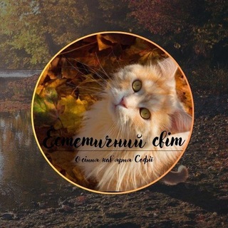 Telegram profile photo for 🍁◆. 𐌏ᥴіння κᥲʙ'яρня 𑀝᧐ɸії🧸