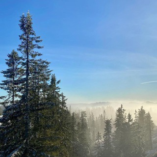 Telegram profile photo for миднайтлайт