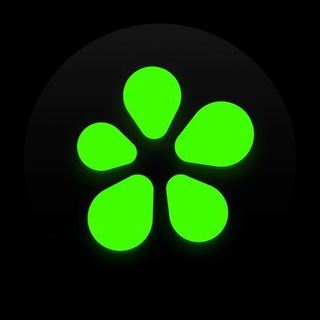 Telegram profile photo for Лига Плюща🌴
