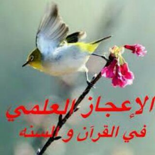 Telegram profile photo for الإعجاز العلمي