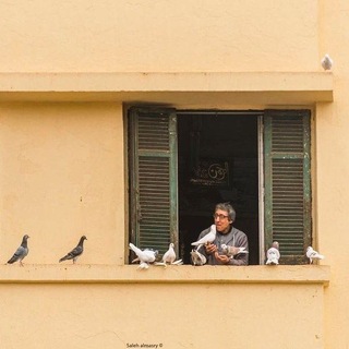 Telegram profile photo for • خونه
