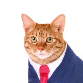 Telegram profile photo for Lceenta чё