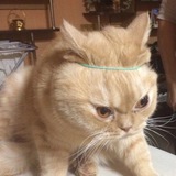 Telegram profile photo for Пагубное влияние