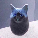 Telegram profile photo for гнег каталог