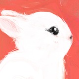 Telegram profile photo for bunnyFans
