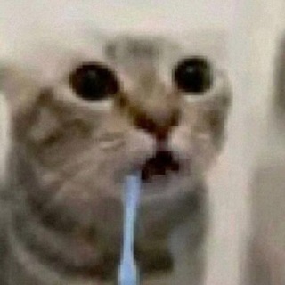 Telegram profile photo for keros/in30°/поблядуха/плохаясука/я?