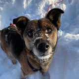 Telegram profile photo for нетакуся бим🫦