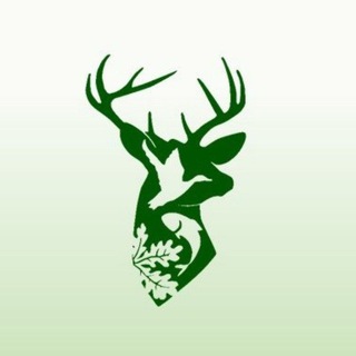 Telegram profile photo for Госкомитет Республики Татарстан по биологическим ресурсам