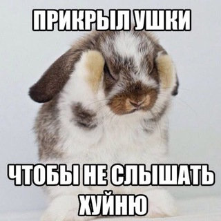 Telegram profile photo for dоза 666 про в роблокс