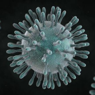 Telegram profile photo for PH Coronavirus Updates π΅π