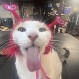 Telegram profile photo for Фото-батлы💋💗